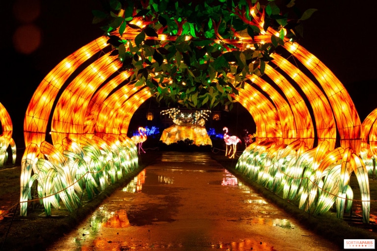 Festival des lumières du jardin des plantes