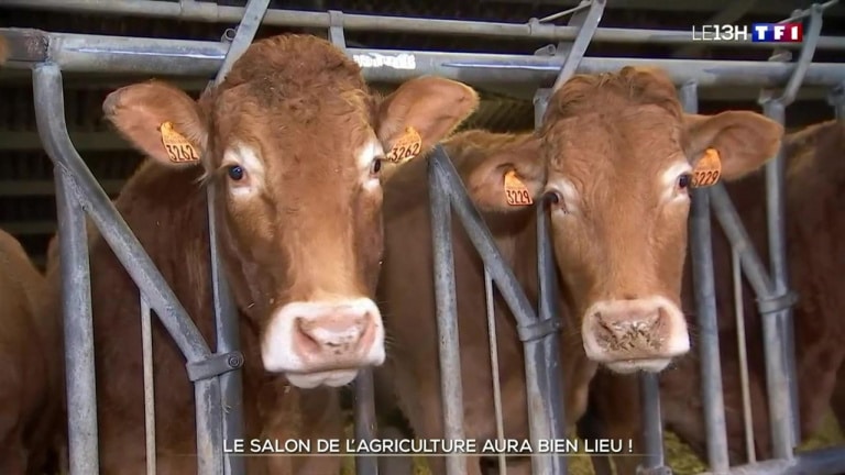 Le Salon de l’Agriculture