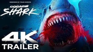 « Cocaine Shark »
