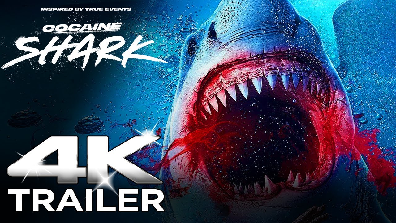 « Cocaine Shark »
