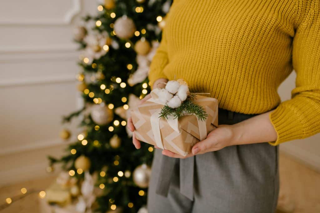Person holding a wrapped Christmas gift in front of a decorated tree indoors.